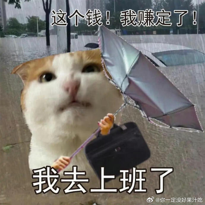 今天出门比较早，到了地铁口才下雨，裤腿微湿，头发微塌，没有太过于狼狈。广东的雨到