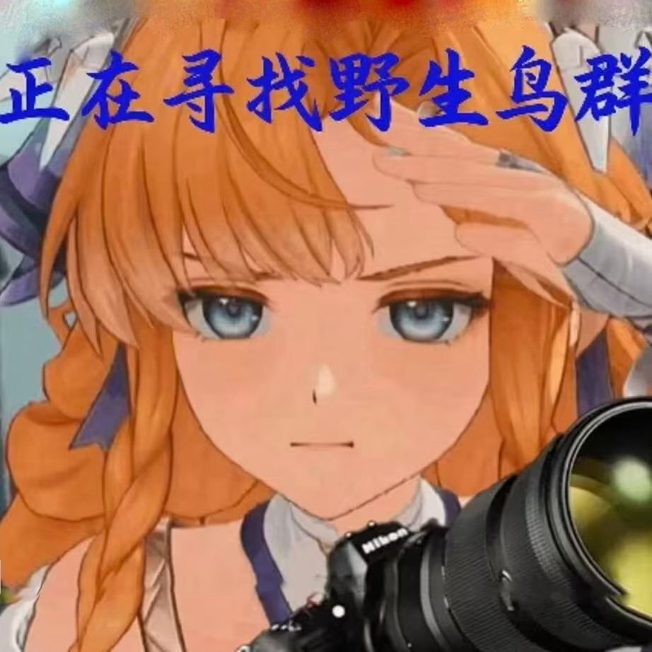 想打鸟了 