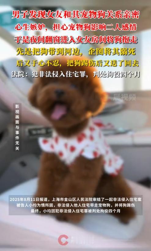 “太离谱了！”2025年，上海，一男子看女友和宠物狗亲密，十分嫉妒，于是，他偷偷