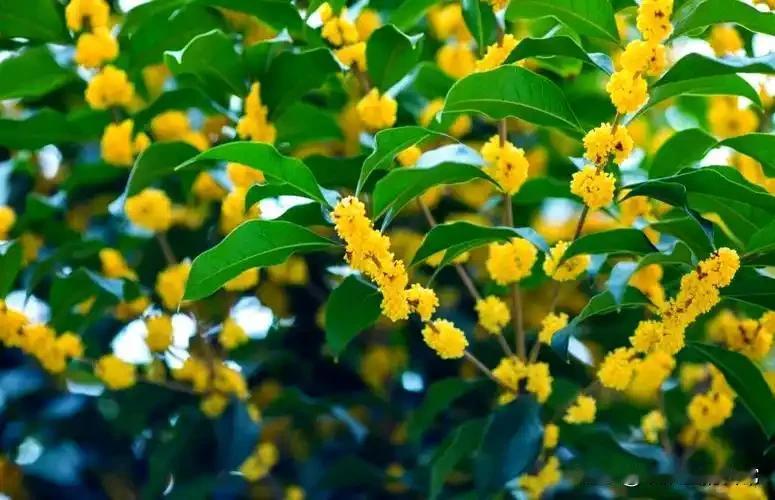 女人最好的状态
不是嫁的好就好
有房有车有存款
也要自己有赚钱的能力
婚后
无论