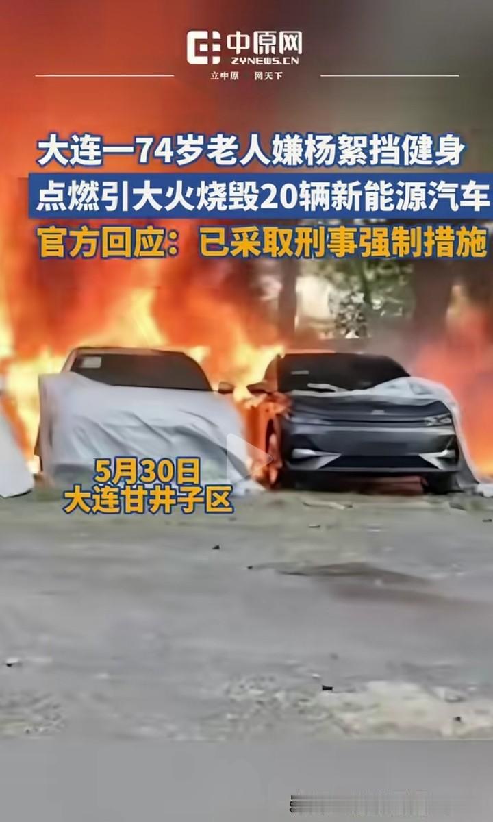 大连一74岁老人嫌杨絮挡住自己健身，点燃杨絮，边上的20辆新能源汽车被大火烧毁。
