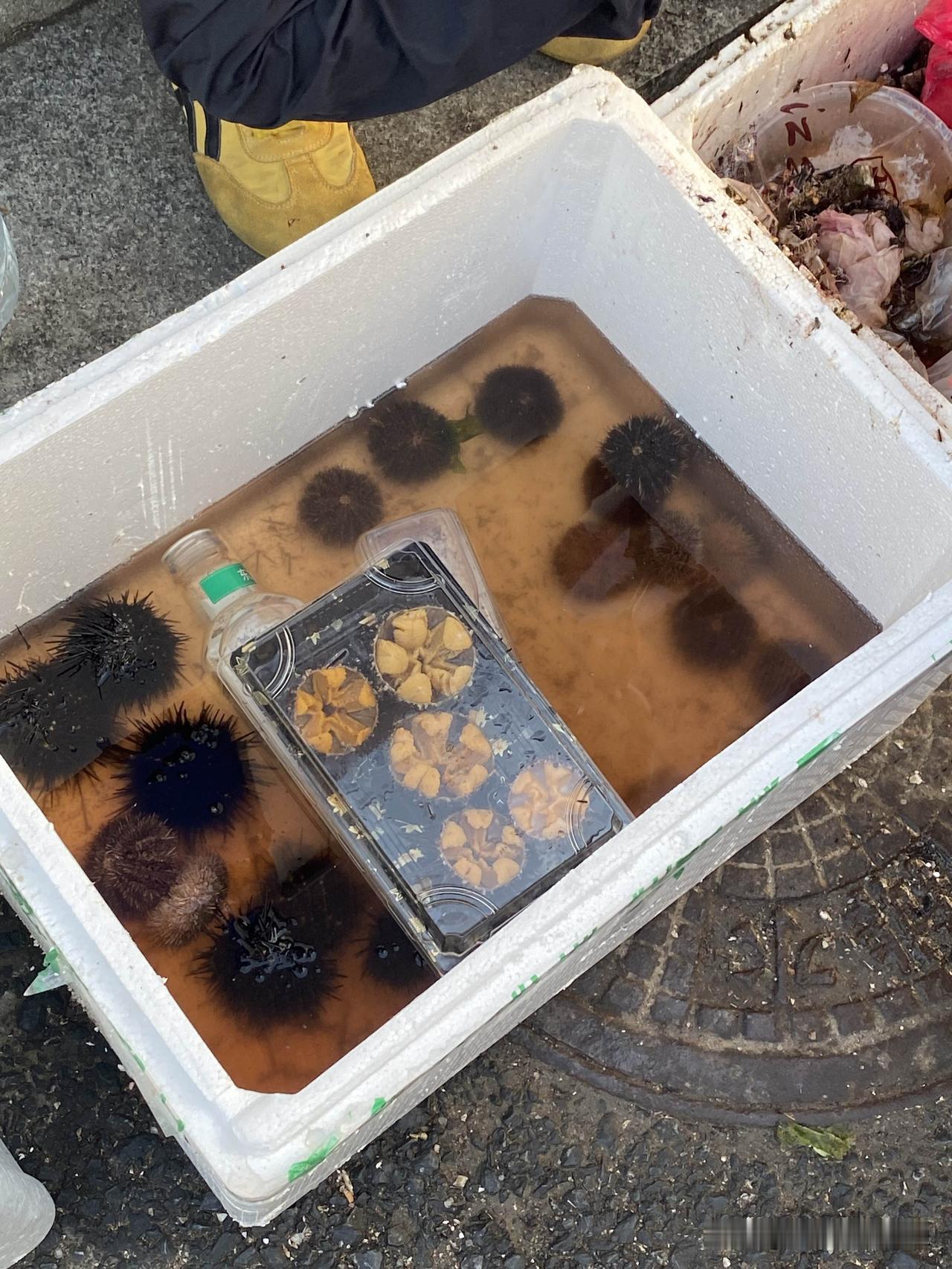 大连“刺锅子”十分鲜美，是全网友友的最爱。昨天，我在大连南石道街道边看到有卖自己