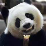 球子爱谈科技