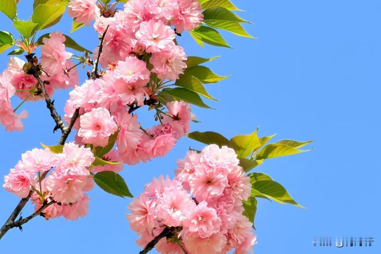 千里相逢 —— 重
​半个月亮 —— 胖
 
闲暇时光猜字谜
动脑又有趣
千里相