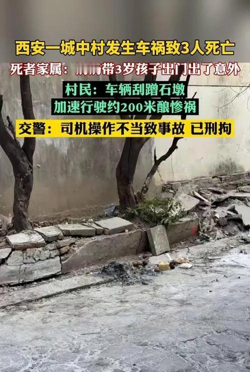 西安一个城市的中村发生车祸，造成3人死亡。警方通知司机被拘留

网友称陕西西安一