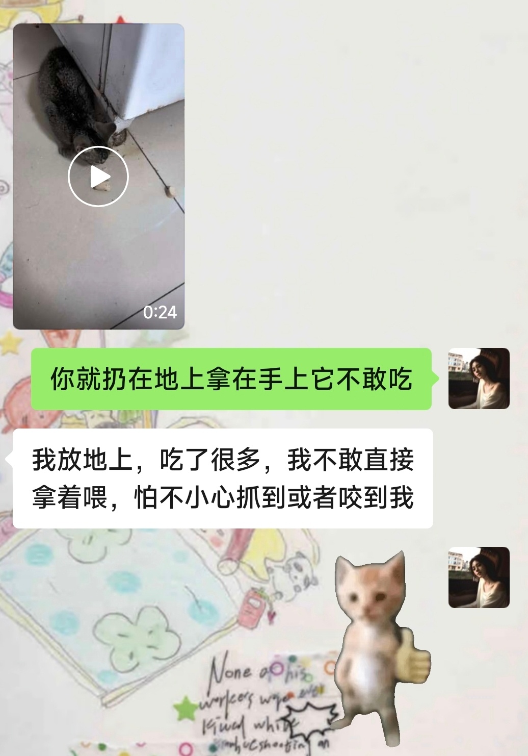 爸爸说公司车库有只流浪猫看起来很饿问我怎么搞 心暖暖的 
