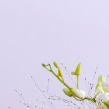 正能量不被理解是常态，被理解是惊喜。别逢人就掏出自己的心，说多了自己累，别人也未