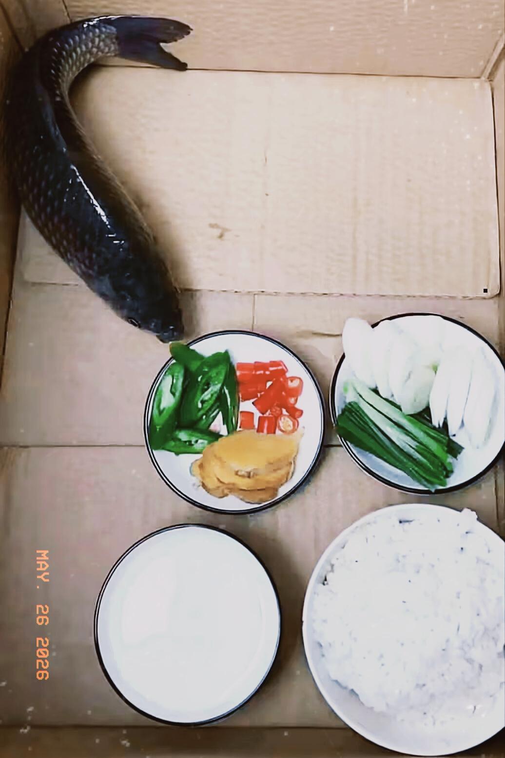 今天发现了一个奇怪事
朋友跟我说 你还别不信
你看，他拍了一张照片 说自己钓了一