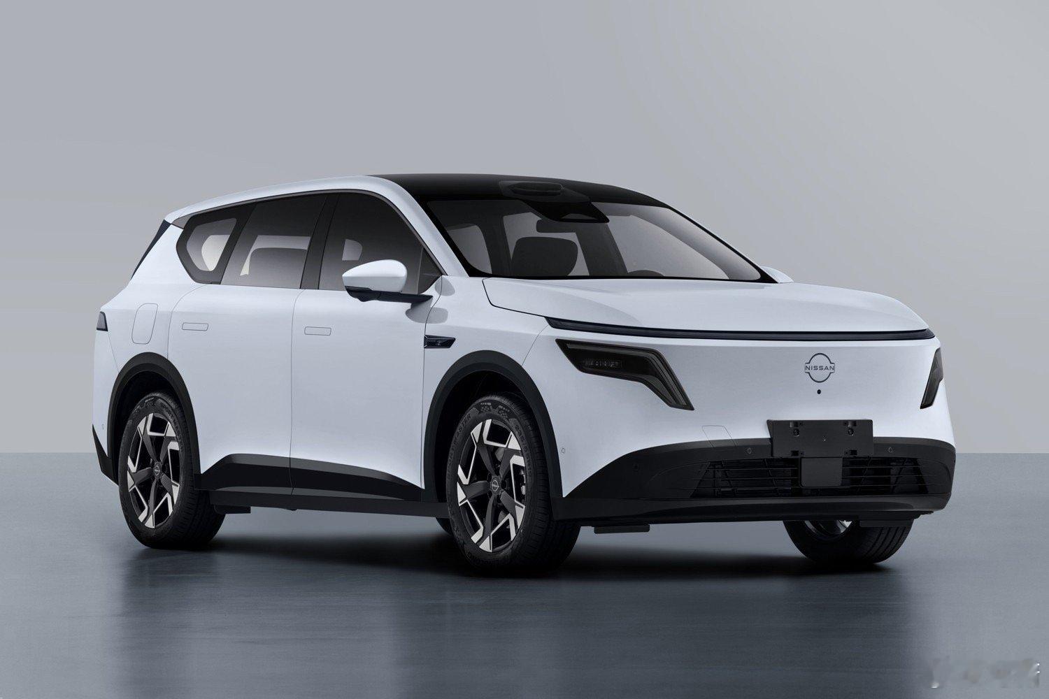 东风日产又有新车上公告了，4.8米SUV，有插混也有纯电版，叫NX8，不用说肯定