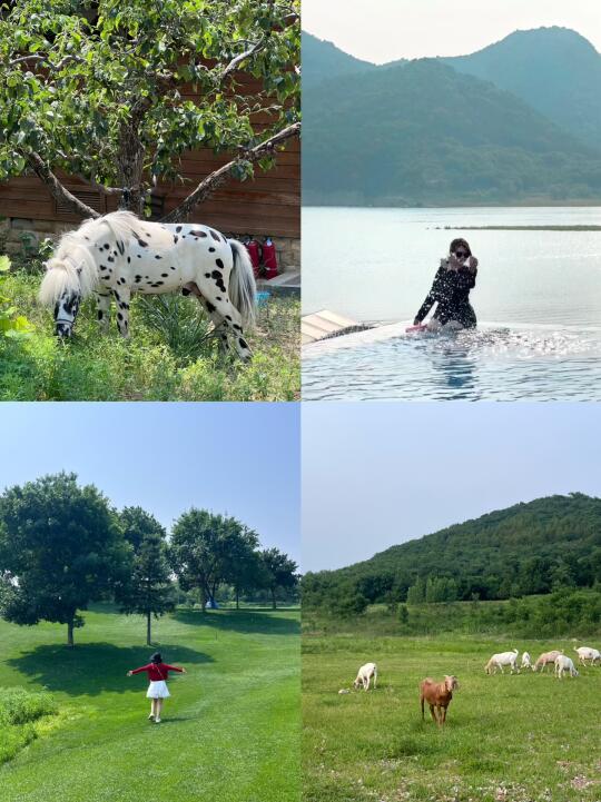 京郊小瑞士！无边泳池+草地露营随手拍都好看