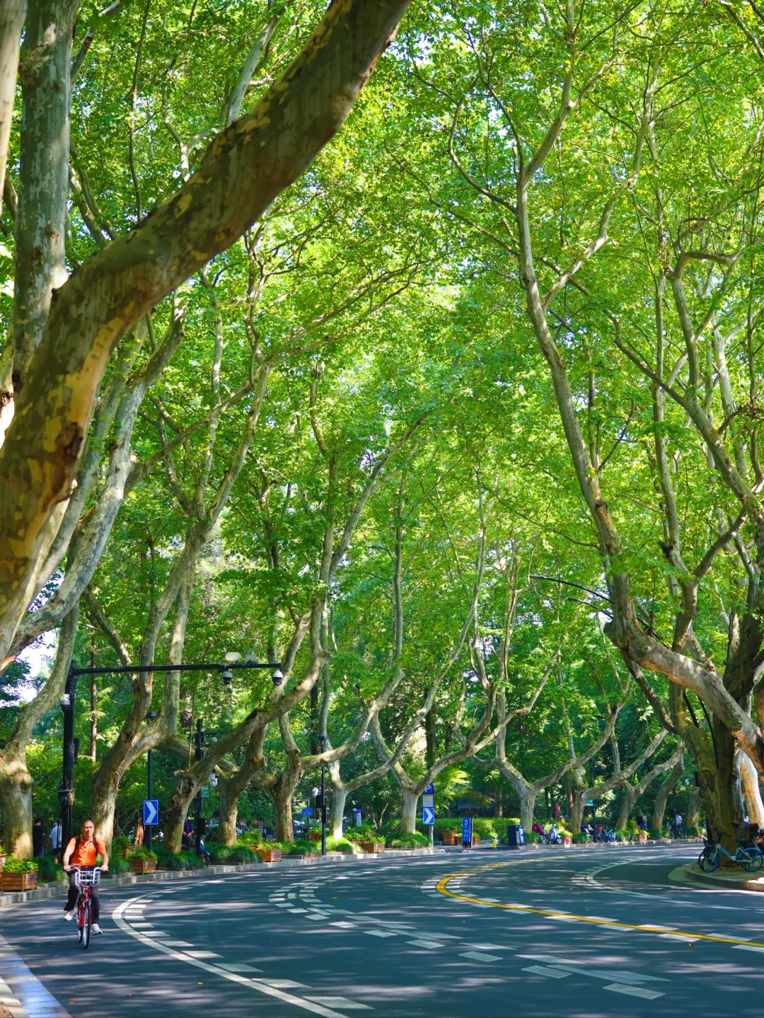 不累的‼️西湖六小时玩一圈攻略（听劝）
