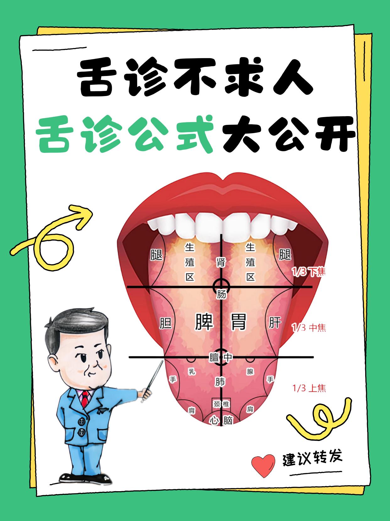 舌诊不求人，舌诊公式大公开。1️⃣舌根 舌根相应于肾。肾的功能主要体现...