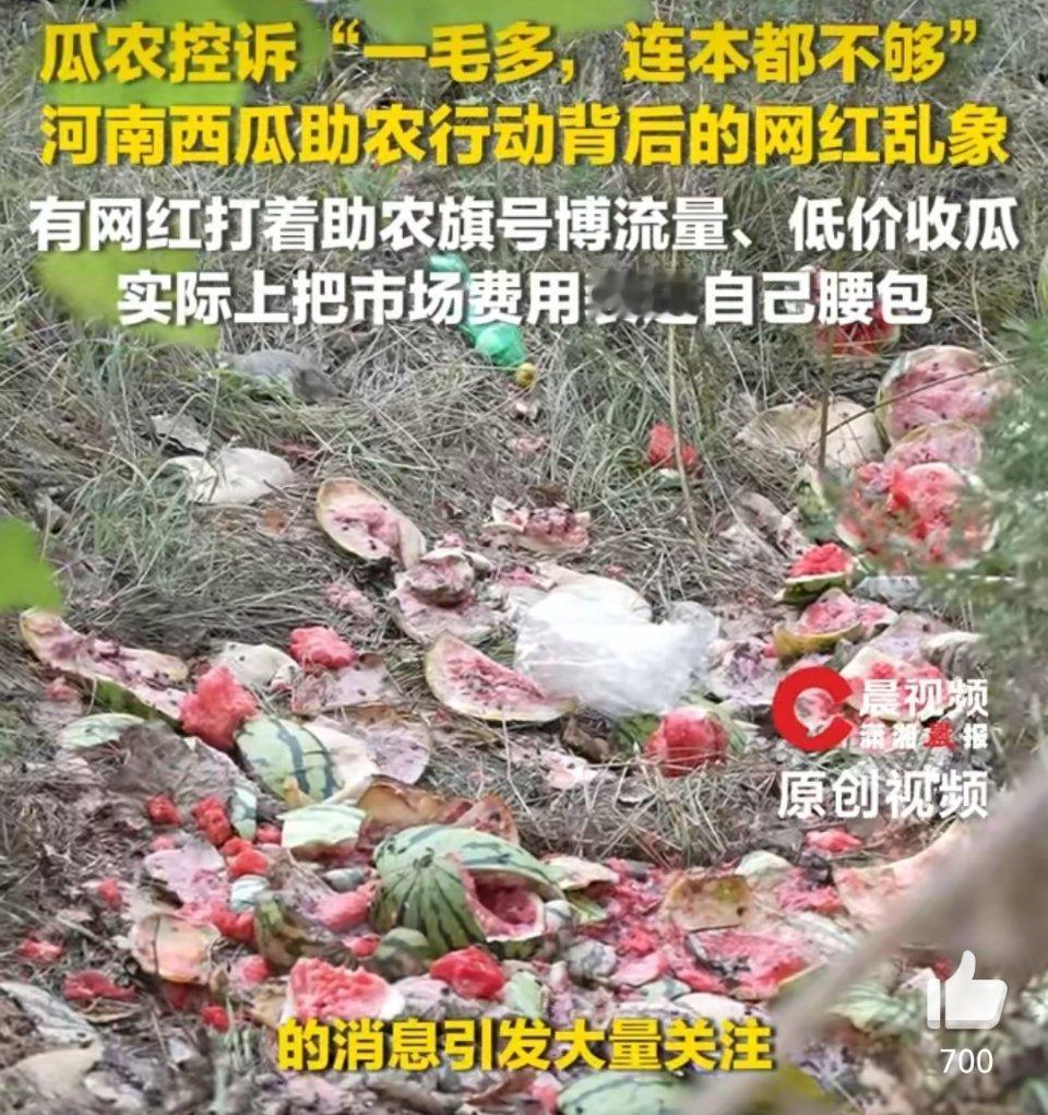 滞销西瓜被网红压价到一毛多一斤一边是西瓜滞销，一边是高价西瓜，仅仅是某些网红的问