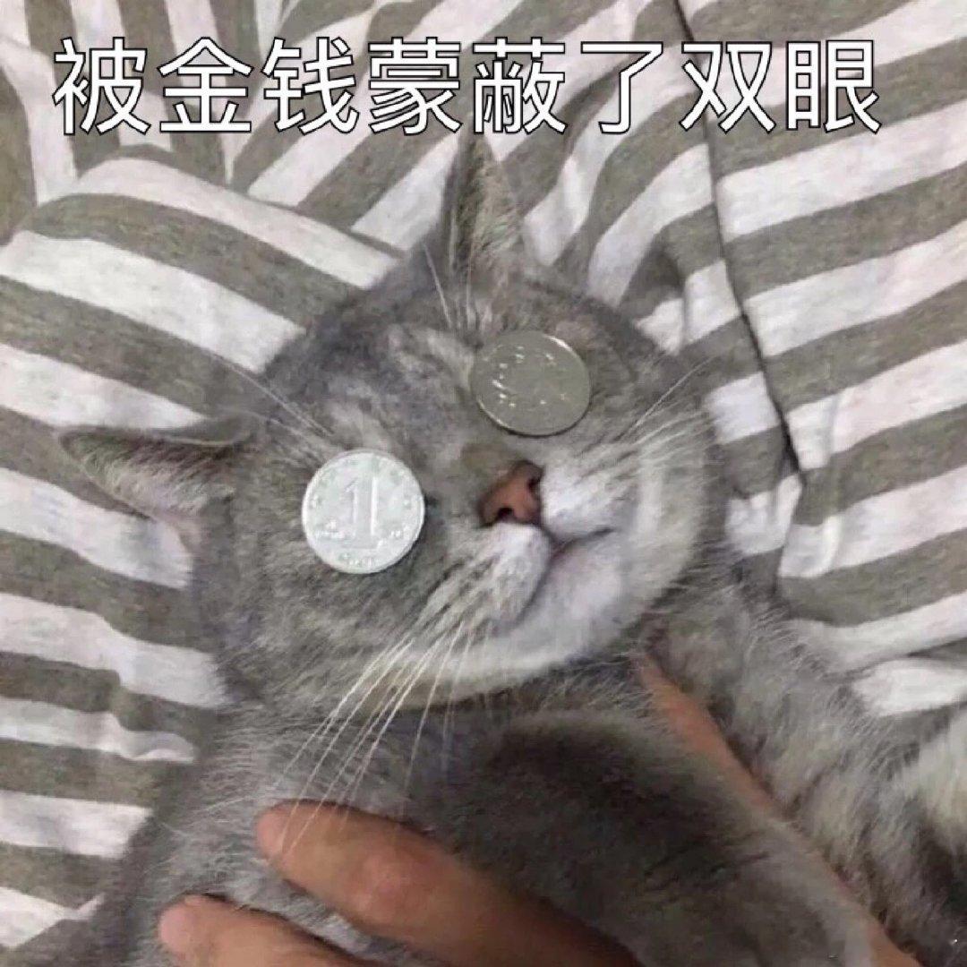 金钱蒙蔽了双眼 