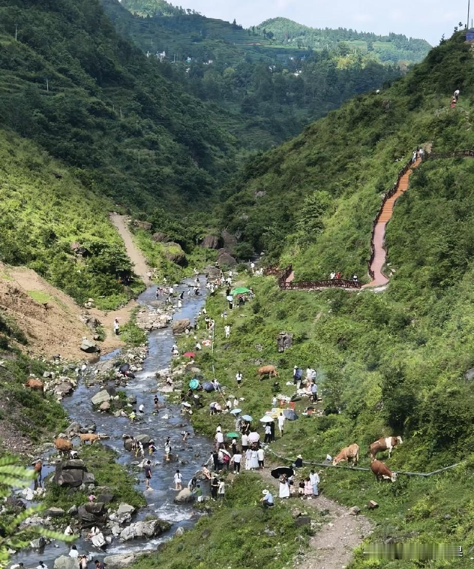 在这山沟里玩水真的很危险，为什么这么多人意识不到呢？
这种山沟小河流基本都是一年