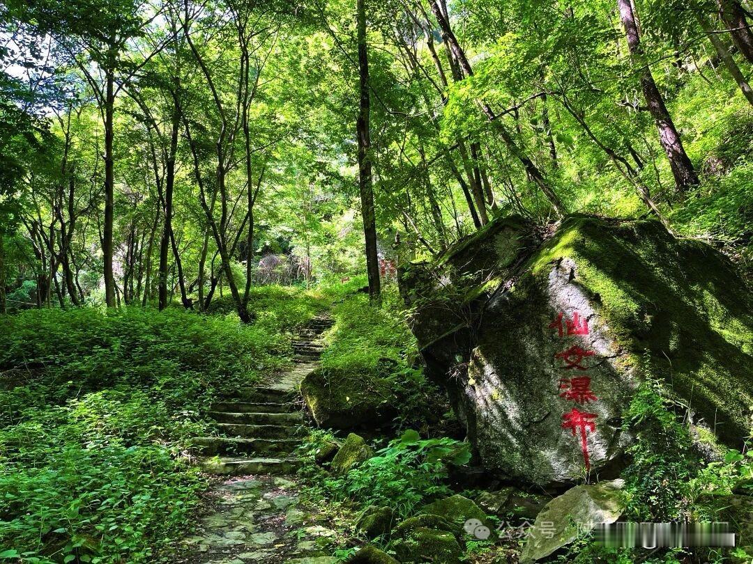 藏在秦岭的小众秘境！黑河狐狸沟太治愈了！

西安周边想寻幽避暑，一定要来黑河国家
