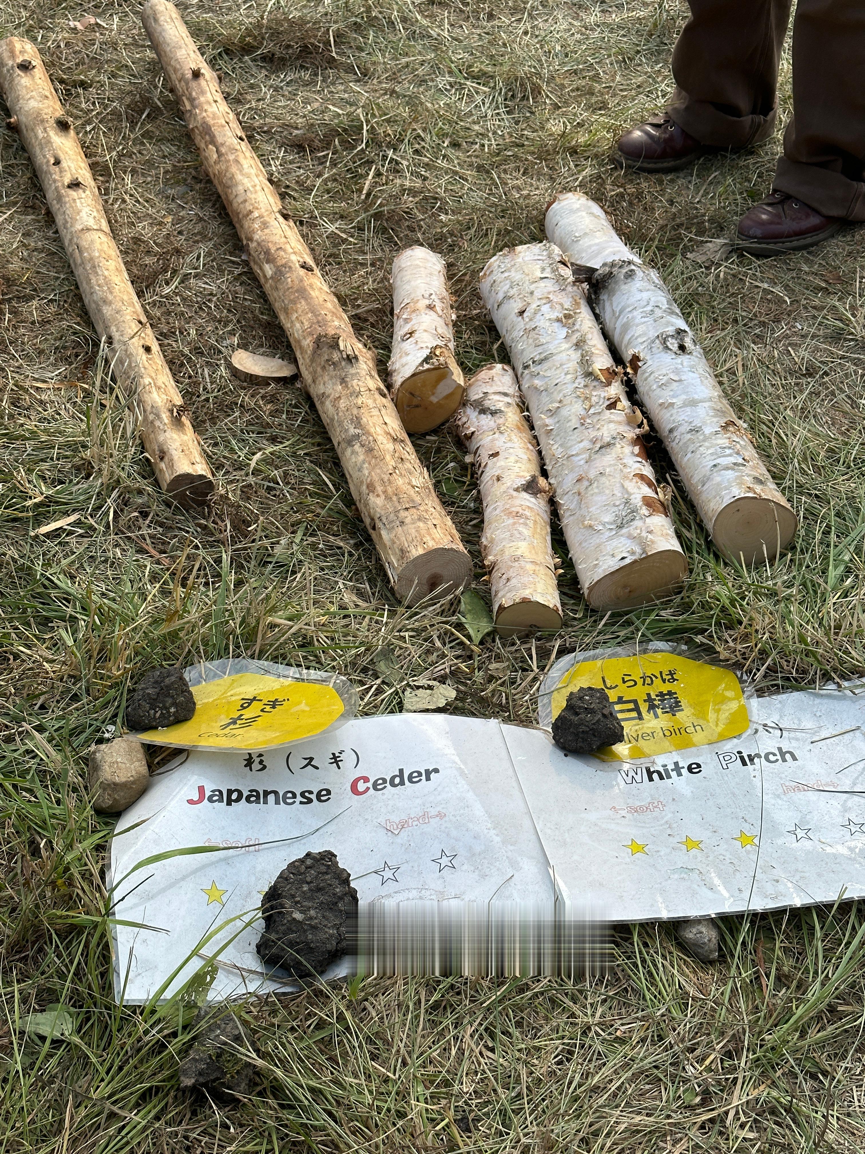会场门口的staff妹妹笑眯眯地问我们要不要锯木头，那必须玩一下啊。地上堆的木料