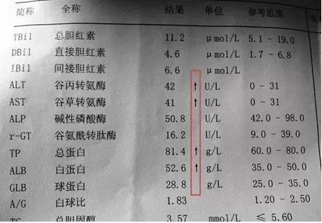 肝功能看懂其实很简单！

你是否曾经因为体检报告上的肝功能指标而困惑不已？别担心