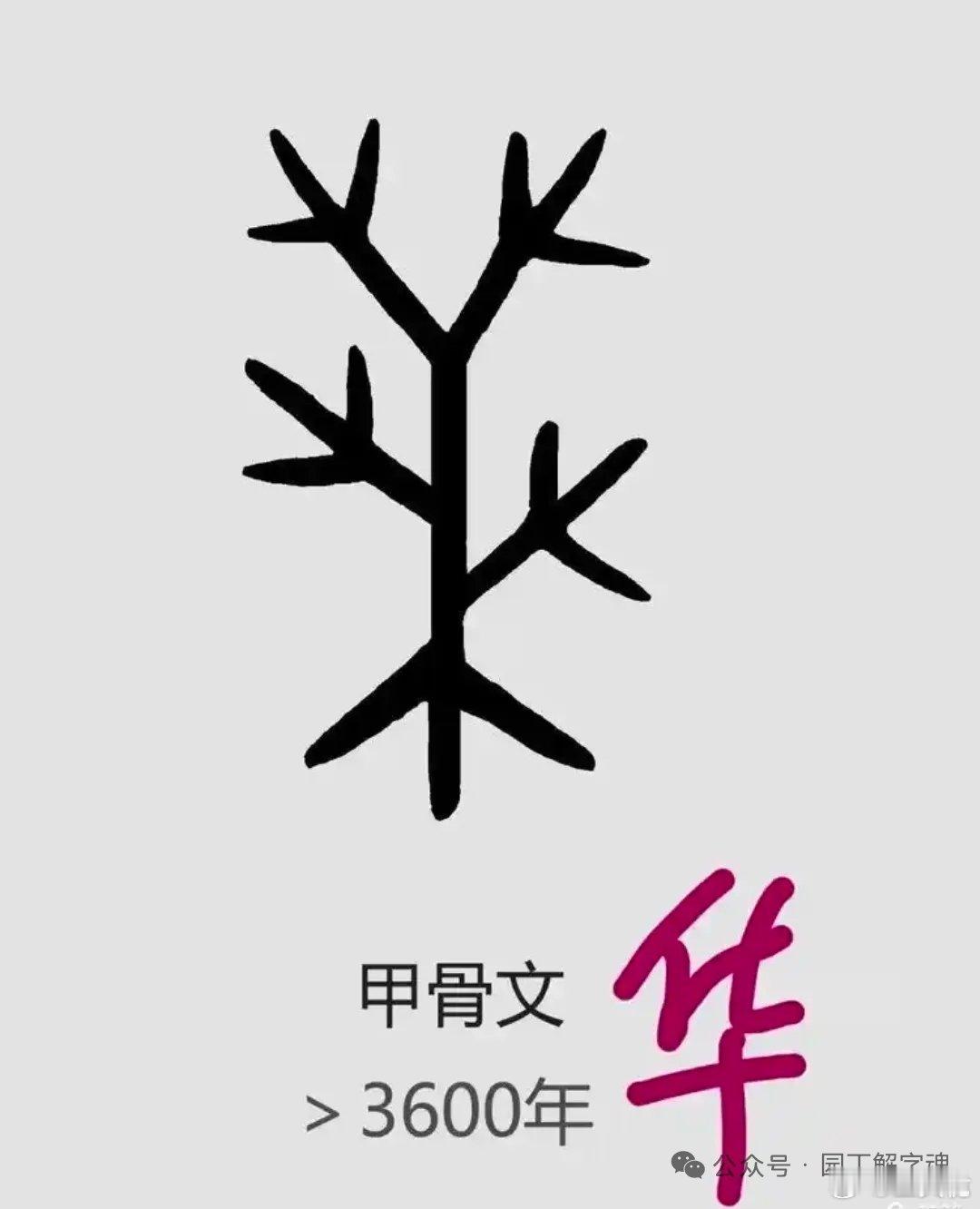 AI是上天送给中华文明的礼物：网页链接