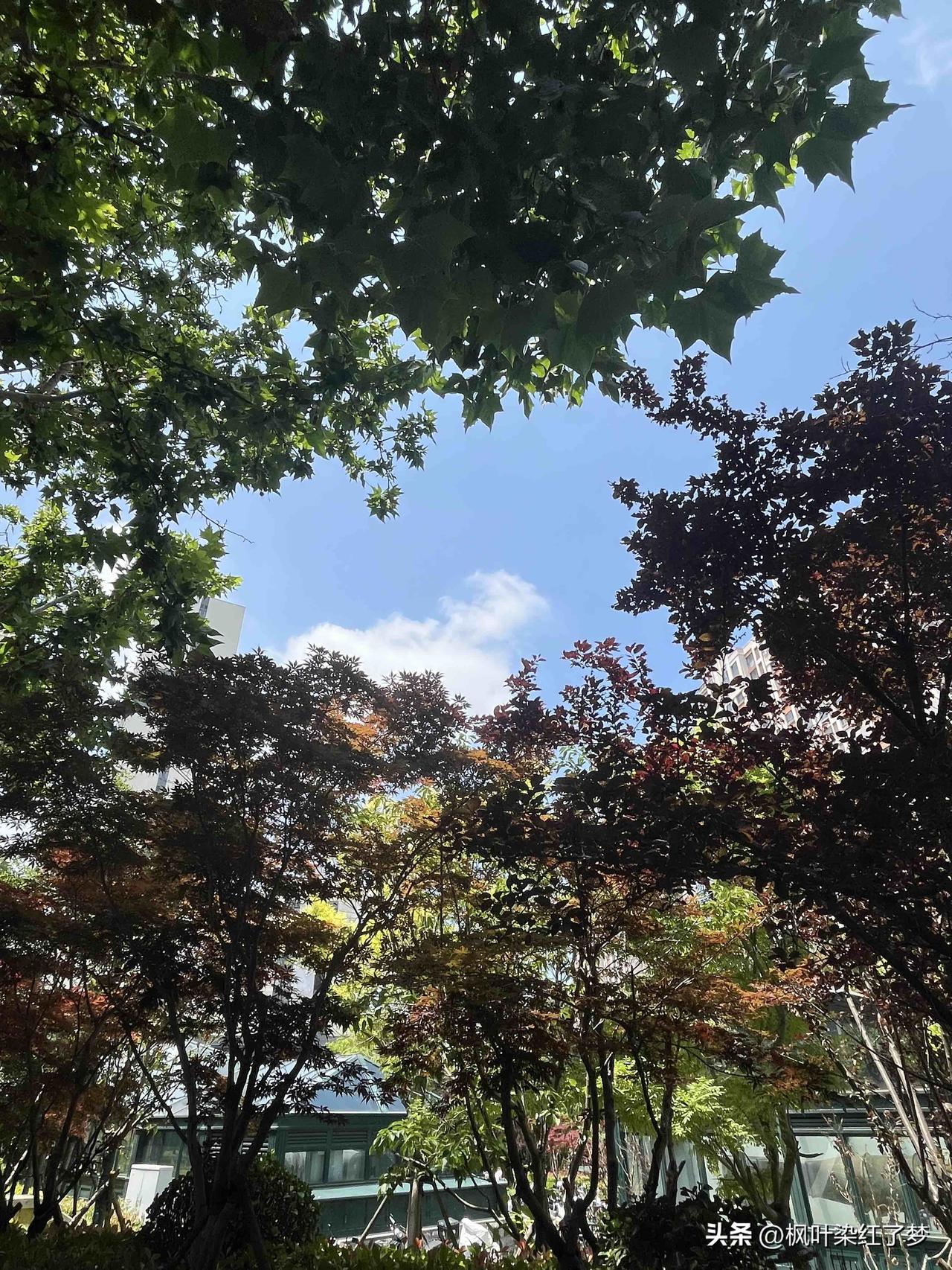 有段非常透彻的话：“年龄越大，就越会发现，最终能给你快乐的，不是你有多少朋友，也