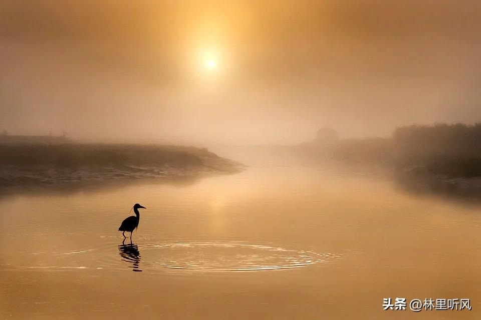永远不要做传坏消息的人，因为比起坏消息人们更讨厌传递坏消息的人。刷到网友说：老公