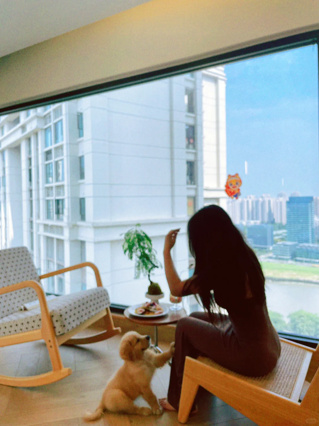 小鸡毛与早餐