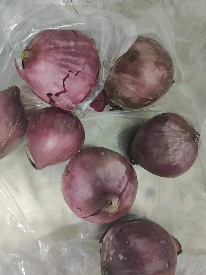 昨天去买毛葱，店里说我这个是水果毛葱，不那么辣还略清甜，好吃。

看了看，就是颜