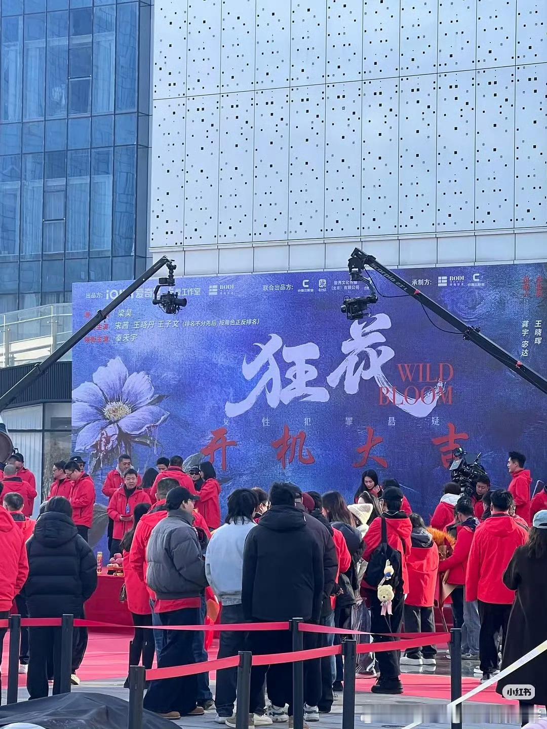 宋茜，王珞丹，王子文《狂花》开机番位新花样（按角色正反排名） 