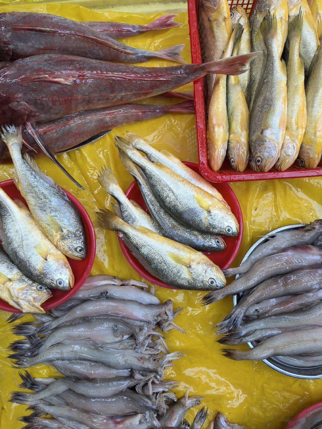 李爷减肥计划 减肥的第一百天。今天的海鱼真新鲜，搞两条回去。