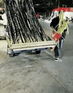 打个窝，假装生意很好的样子。