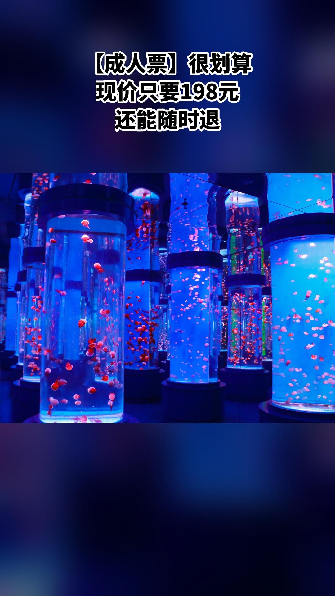 冰雪海洋世界，特卖新品，囤货好时机，4.2分推荐，【成人票】