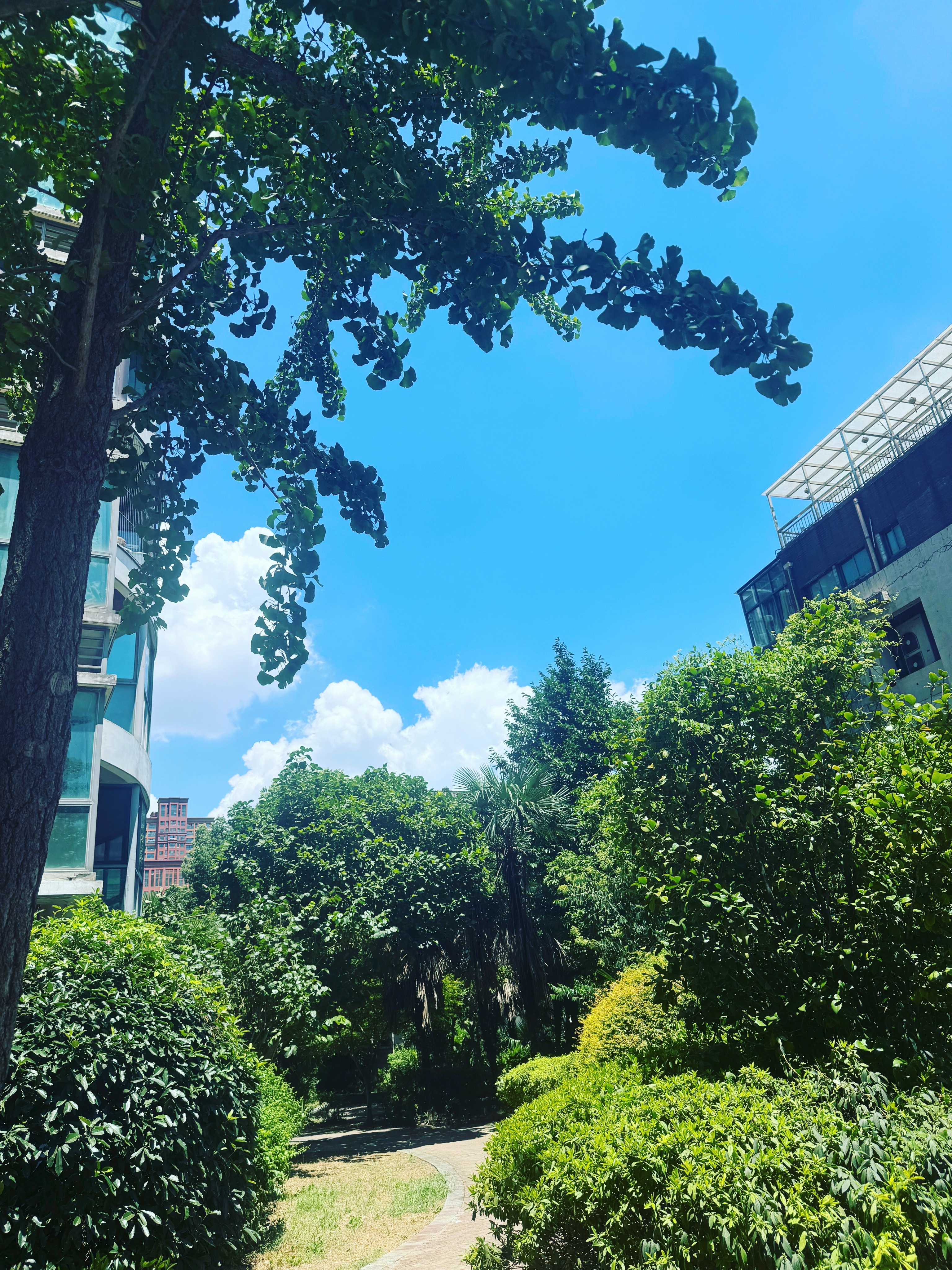 蓝天白云，风和日丽，是夏日限定的浪漫。 