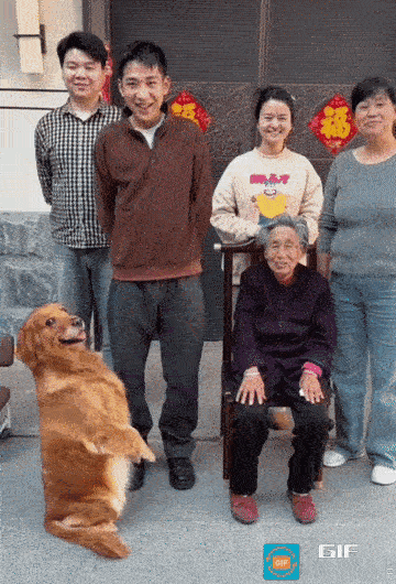 全家福里的“显眼包”金毛
 
好温馨的一幕！全家拍合照，结果狗子直接闯入镜头摆p