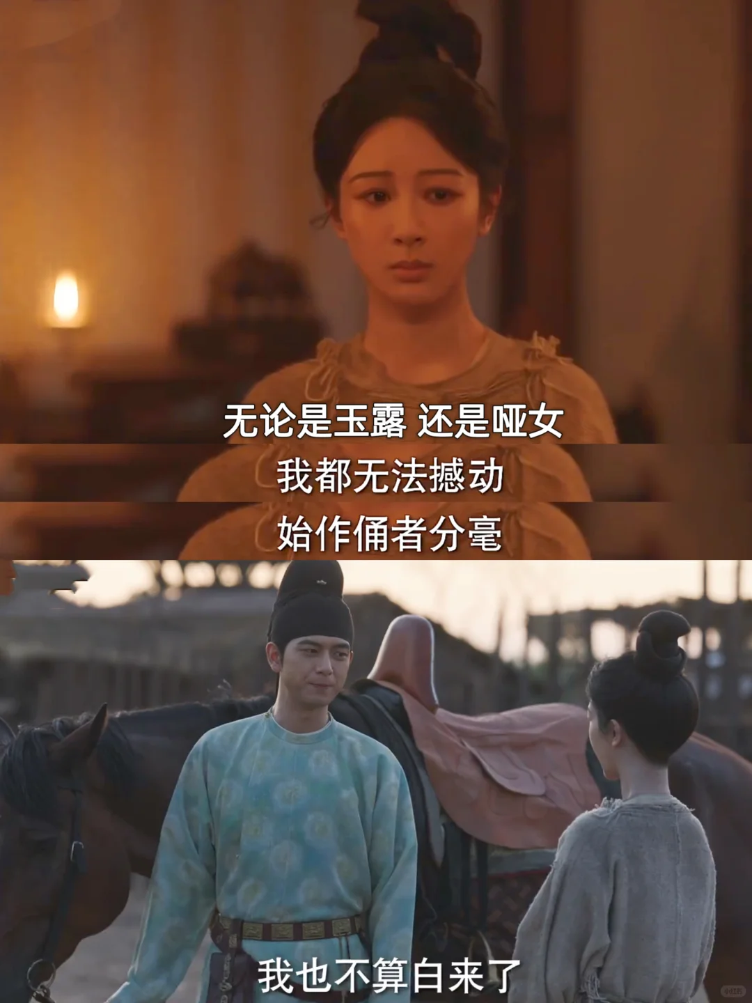 牡丹开始上道了❗
