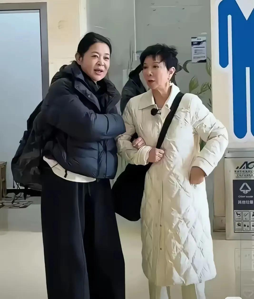 有谁能告诉我
倪萍旁边的老太太是谁
感觉她像一个人
但是又不确定
友友们，帮忙看