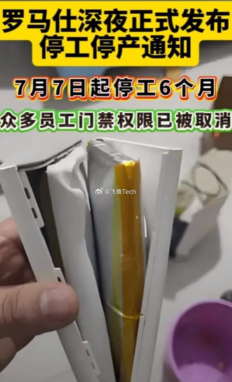 罗马仕深夜正式发布停工停产通知罗马仕这个品牌已经有13年的历史了，说它是行业老大