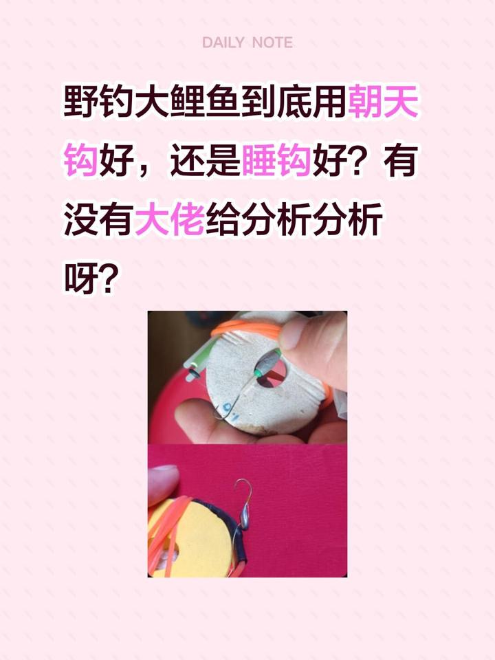野钓大鲤鱼到底用朝天钩好，还是睡钩好？有没有大佬给分析分析呀？