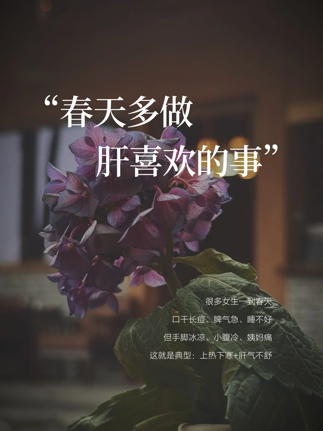 开春养生| 30+女性上热下寒多做肝喜欢的事