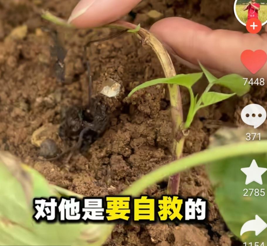 古人说：“大道至简，万物一理”，很多人将信将疑，更多人选择不信；
庄子说：“万物