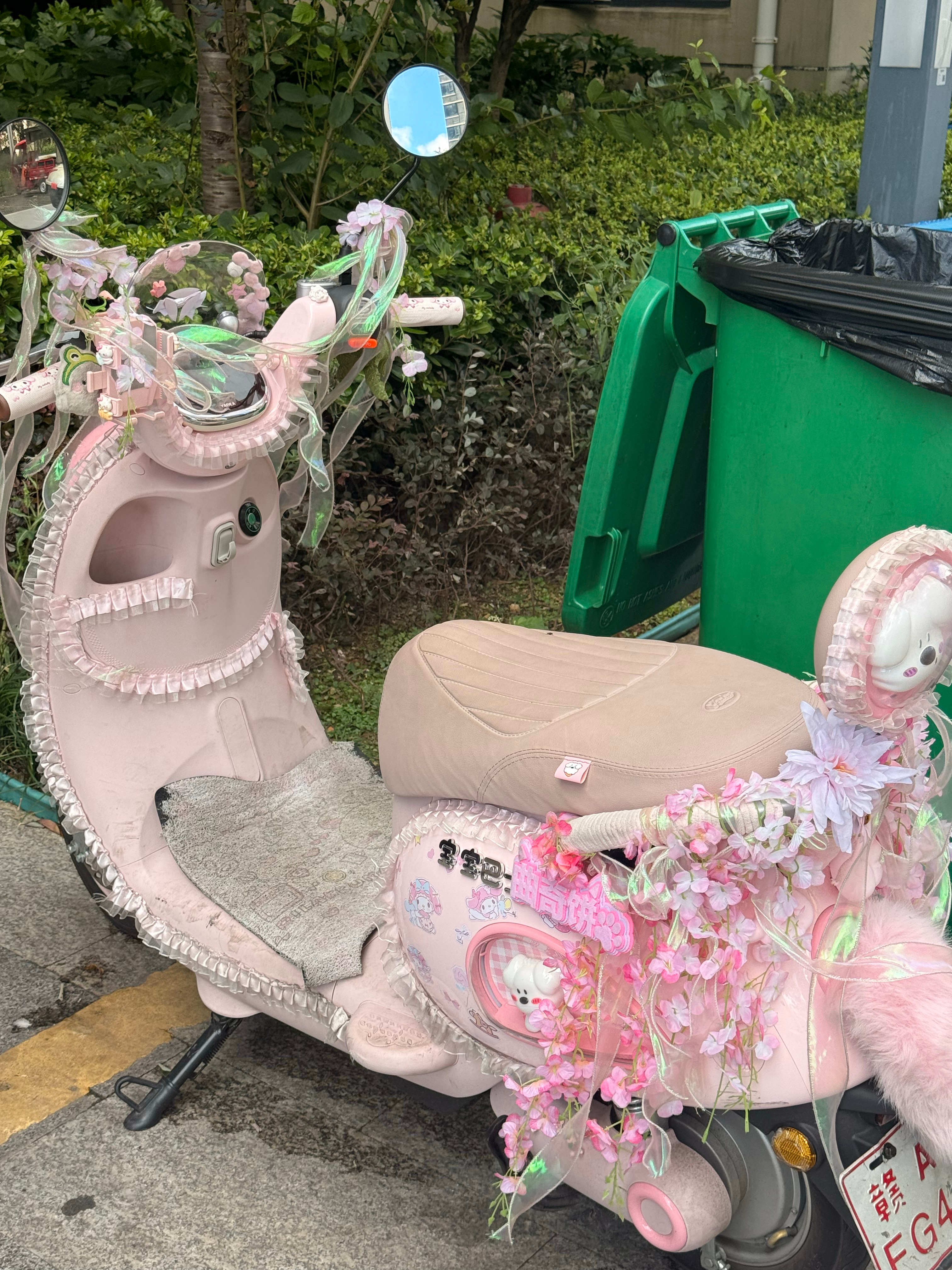 看到公主车了！太好看了吧