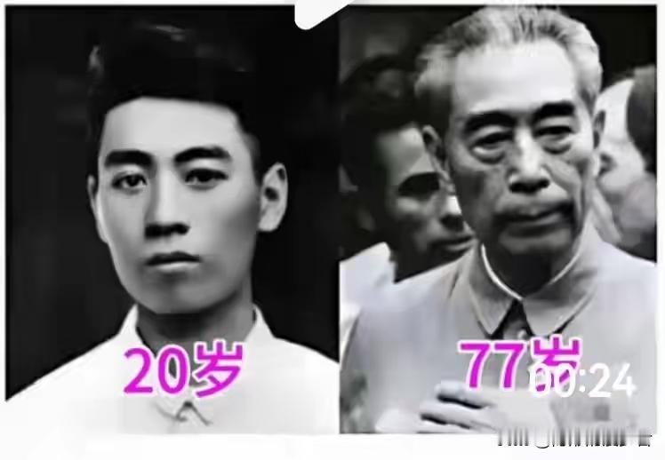 从青春少年为中华崛起而读书，
到鬓发苍苍老人一生为国为民服务，我们的好总理[玫瑰