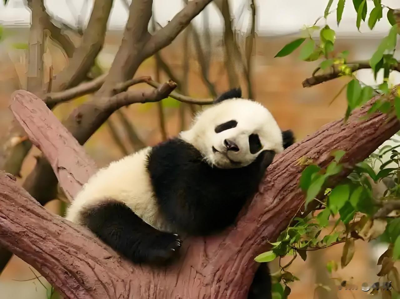 良好的睡眠，是最好的补药，没有之一。