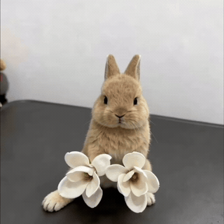 生活手记