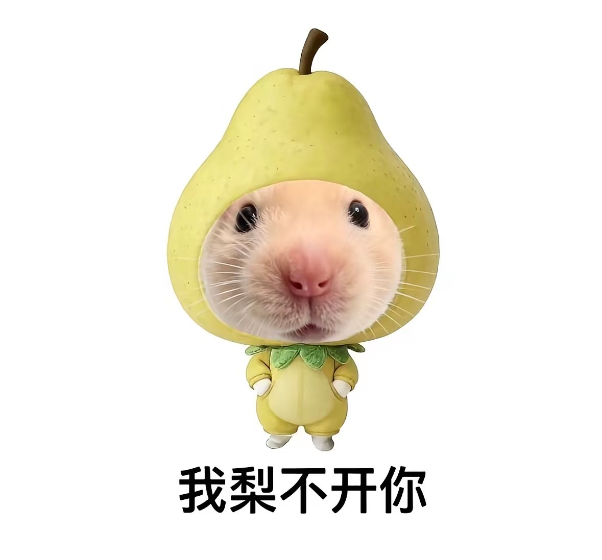 梨的种植方法一、土壤与环境：梨适宜种植在土层深厚、肥沃、排水良好的土壤中。光照要