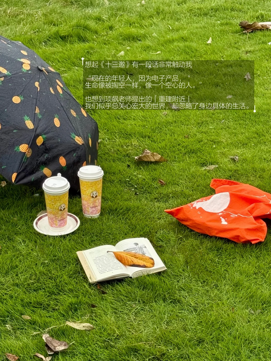 这一周散步、读书，缓慢的感受秋天。