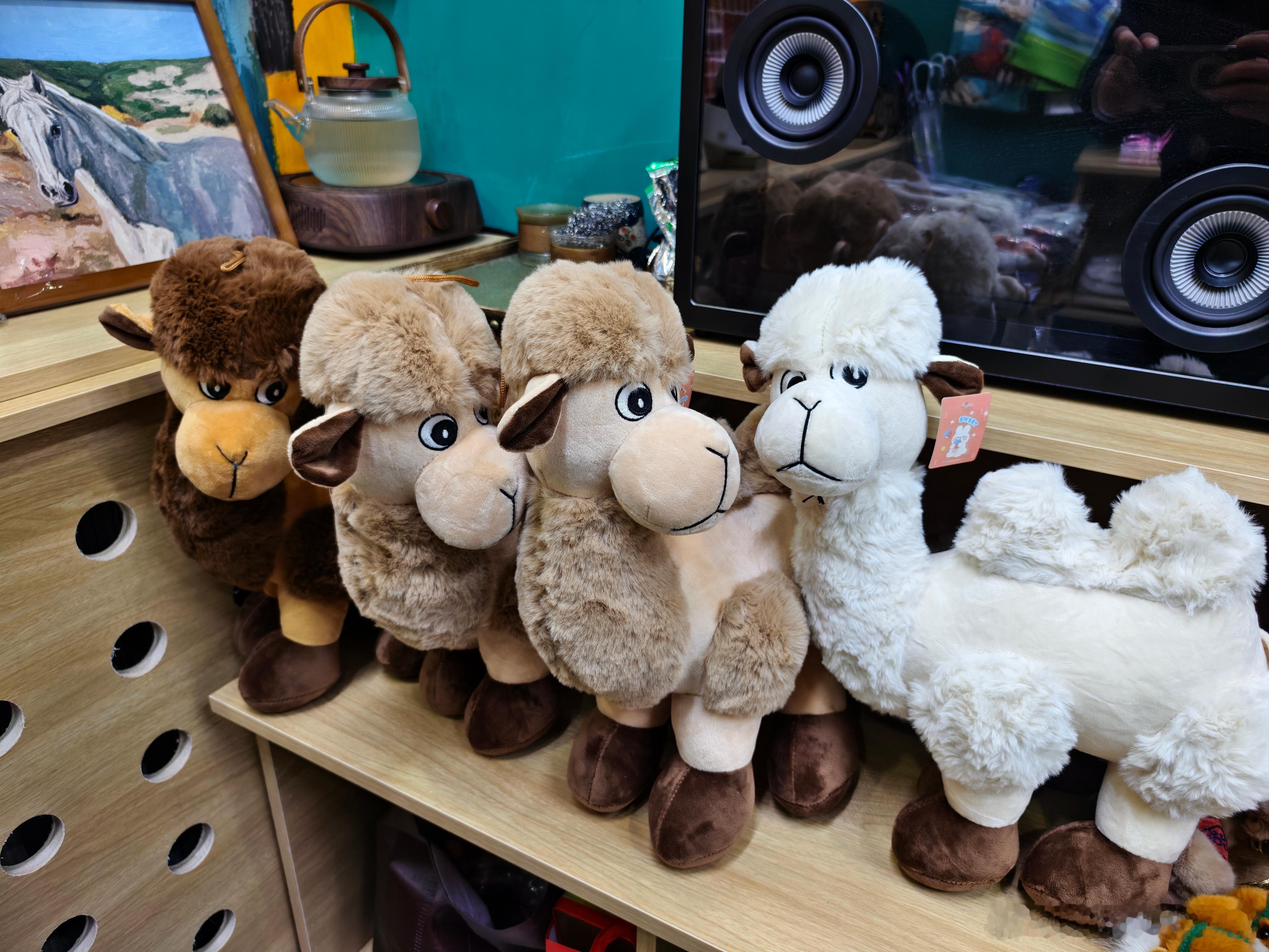 这小骆驼咋这么有情绪感觉比哭哭马还好玩