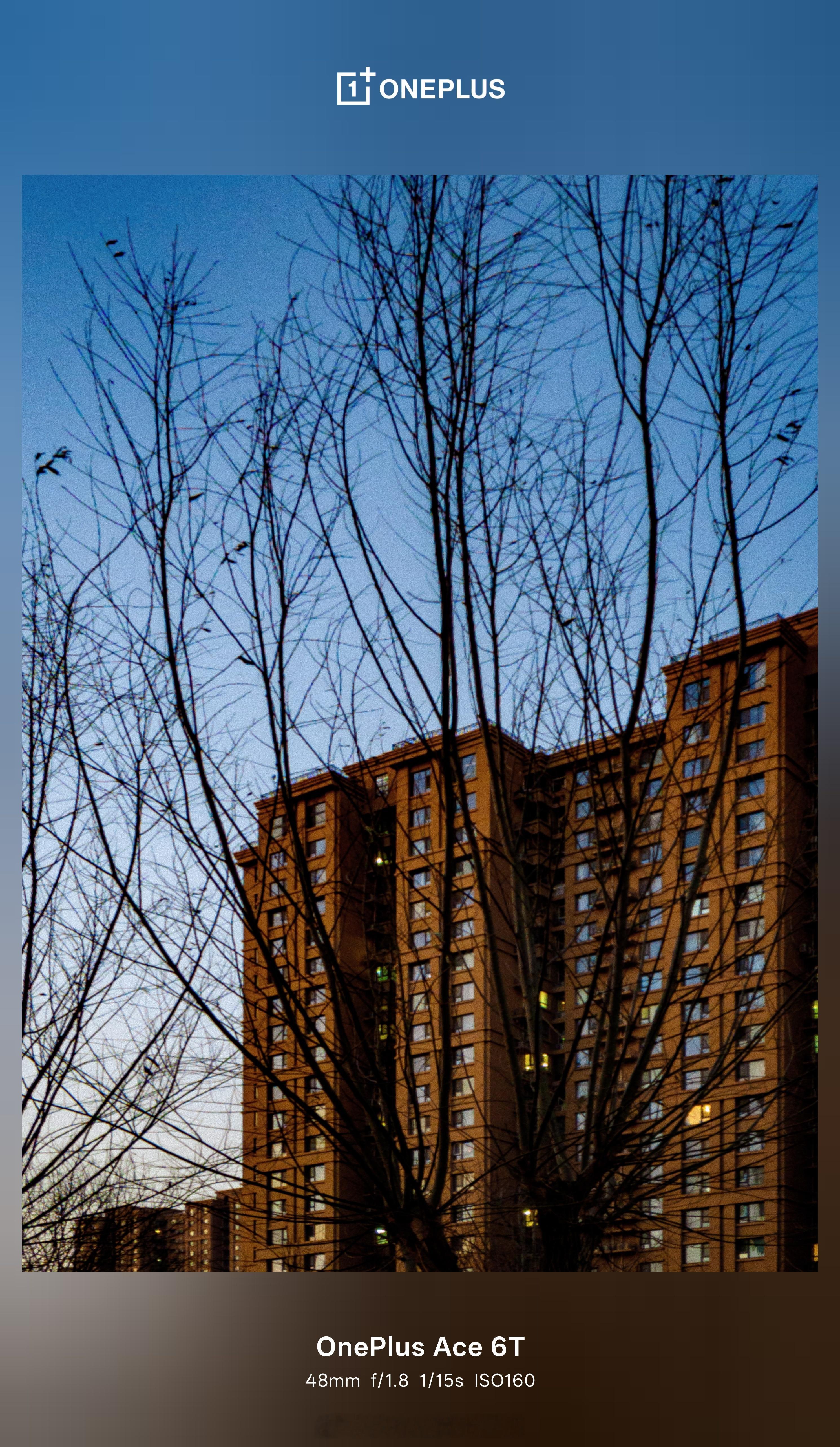 是典型的北京清冷冬日了。 