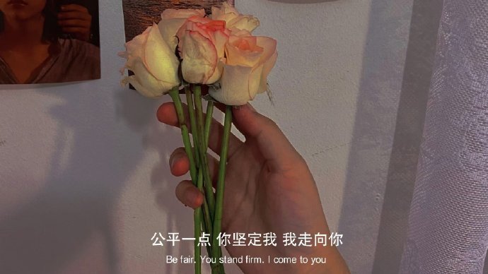以前我不太相信喜欢会被消耗殆尽但后来我开始明白人和人之间只要有了喜欢就会有期待我
