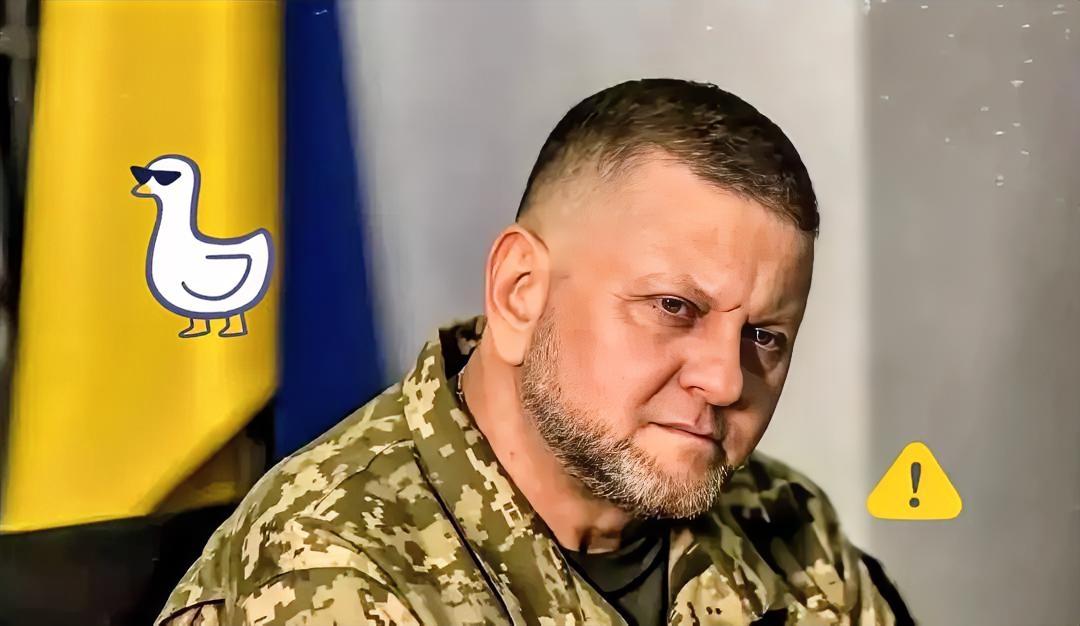 快讯！快讯！
 
来自外媒的消息说，乌克兰军队前总司令扎卢日内公开表示，一旦乌克