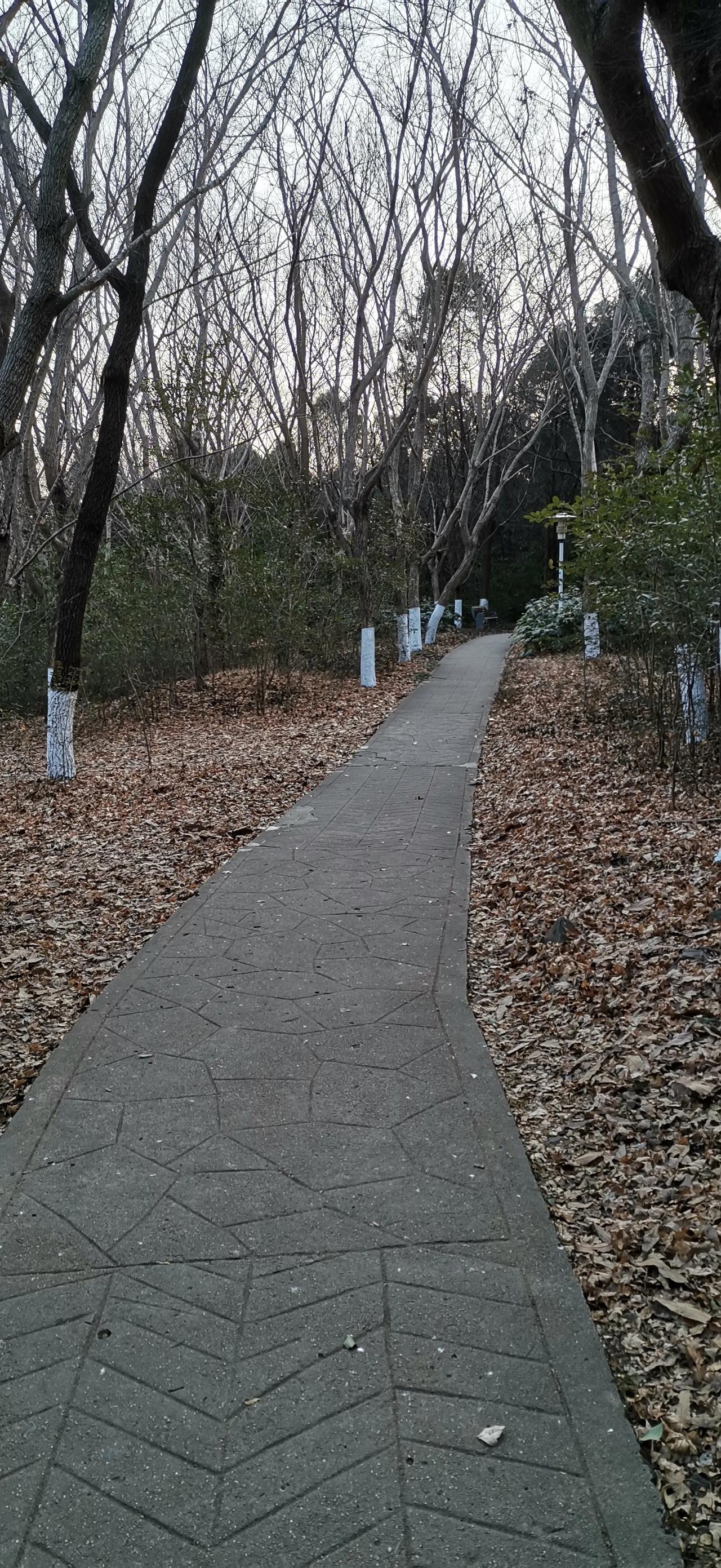 随手拍美丽景色。